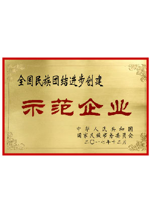 民族團結(jié)示范企業(yè)